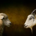 Domba atau kambing: Pilihan yang menentukan kekekalan (Matius 25:31-33)